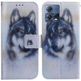 For Motorola Moto S30 Pro 5G / Edge 30 Fusion Coloured Drawing Leather Phone Case(White Wolf)