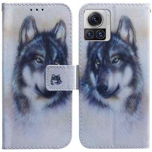 For Motorola Moto X30 Pro 5G / Edge 30 Ultra Coloured Drawing Leather Phone Case(White Wolf)
