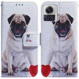 For Motorola Moto X30 Pro 5G / Edge 30 Ultra Coloured Drawing Leather Phone Case(Pug)