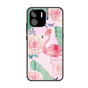For Xiaomi Redmi A1 4G Colorful Painted Glass Phone Case(Flamingo)