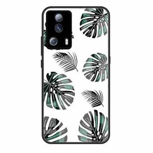 For Xiaomi Civi 2 Colorful Painted Glass Phone Case(Banana Leaf)