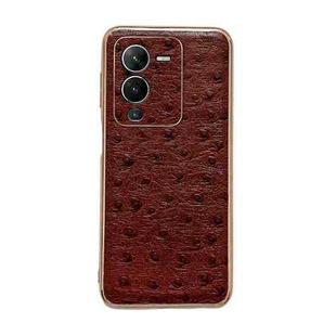 For vivo S15 Pro 5G Genuine Leather Ostrich Texture Nano Plating Phone Case(Coffee)