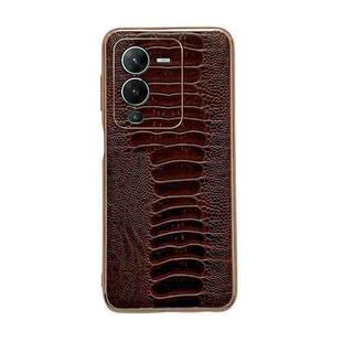 For vivo S15 5G Genuine Leather Weilai Series Nano Plating Phone Case(Coffee)