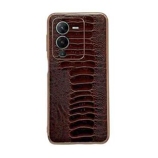 For vivo S15 Pro 5G Genuine Leather Weilai Series Nano Plating Phone Case(Coffee)