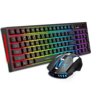 HXSJ L99 Wireless RGB Backlight Rechargeable 2.4G Mouse and Keyboard Set