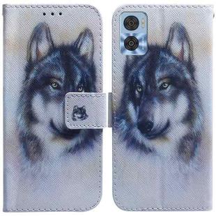 For Motorola Moto E22/E22i Coloured Drawing Horizontal Flip Leather Phone Case(White Wolf)