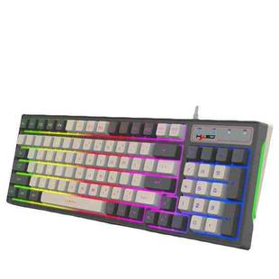 HXSJ V600 96-key RGB Backlit Dual-color Injection-molded Wired Gaming Keyboard