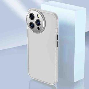 For iPhone 14 Pro Charming Eye Series Lens Protector Skin Frosted Phone Case(Morning Fog Transparent)