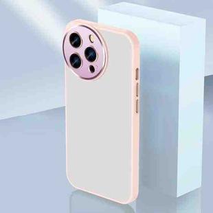 For iPhone 11 Pro Max Charming Eye Series Lens Protector Skin Frosted Phone Case(Pink)