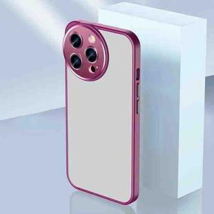 For iPhone 11 Pro Max Charming Eye Series Lens Protector Skin Frosted Phone Case(Wine Red)