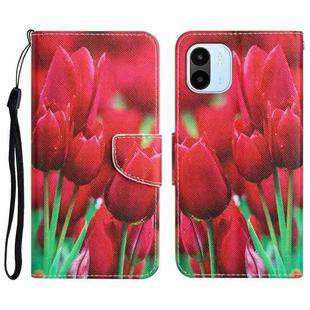 For Xiaomi Redmi A1 Colored Drawing Leather Phone Case(Tulips)