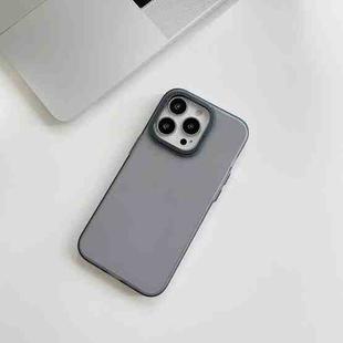 For iPhone 13 Pro PC Frosted Phone Case(Black)