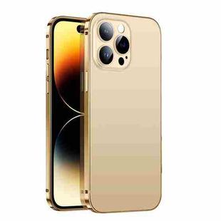 For iPhone 14 Pro 2 in 1 Metal Frame Frosted Phone Case with Lens Film(Gold)