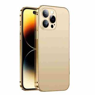 For iPhone 13 2 in 1 Metal Frame Frosted Phone Case with Lens Film(Gold)