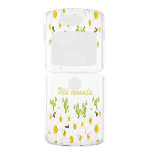 For Motorola Razr 5G Foldable Colored Drawing PC Phone Case(Flowers)