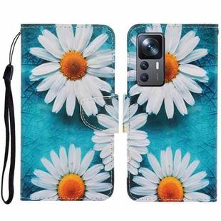 For Xiaomi 12T / 12T Pro / Redmi K50 Ultra Colored Drawing Pattern Leather Phone Case(Daisy)