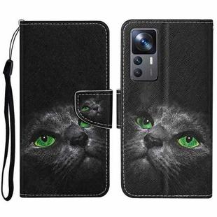For Xiaomi 12T / 12T Pro / Redmi K50 Ultra Colored Drawing Pattern Leather Phone Case(Black Cat)