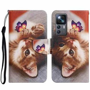 For Xiaomi 12T / 12T Pro / Redmi K50 Ultra Colored Drawing Pattern Leather Phone Case(Butterfly Cat)