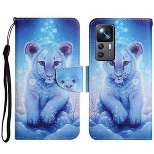 For Xiaomi 12T / 12T Pro / Redmi K50 Ultra Colored Drawing Pattern Leather Phone Case(Little Leopard)