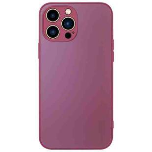 For iPhone 14 Pro AG Frosted Sweatproof Shockproof Phone Case(Plum Purple)