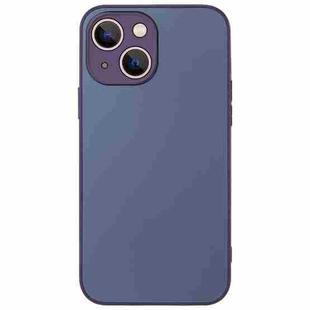 For iPhone 13 AG Frosted Sweatproof Shockproof Phone Case(Purple)