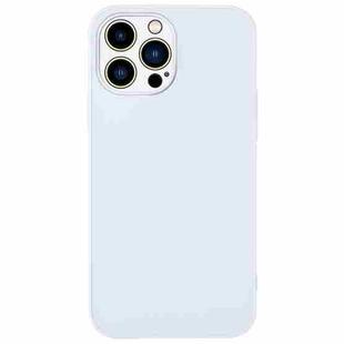 For iPhone 13 Pro Max AG Frosted Sweatproof Shockproof Phone Case(White)