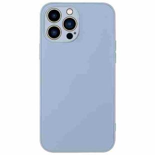 For iPhone 13 Pro Max AG Frosted Sweatproof Shockproof Phone Case(Sierra Blue)