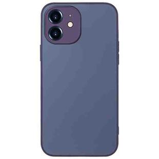 For iPhone 12 AG Frosted Sweatproof Shockproof Phone Case(Purple)