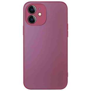 For iPhone 12 AG Frosted Sweatproof Shockproof Phone Case(Plum Purple)