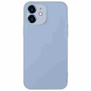 For iPhone 12 AG Frosted Sweatproof Shockproof Phone Case(Sierra Blue)