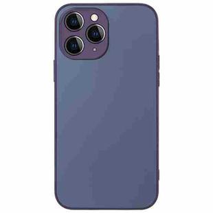 For iPhone 12 Pro Max AG Frosted Sweatproof Shockproof Phone Case(Purple)