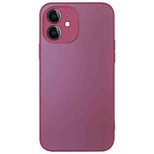 For iPhone 11 AG Frosted Sweatproof Shockproof Phone Case(Plum Purple)