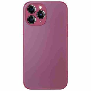 For iPhone 11 Pro AG Frosted Sweatproof Shockproof Phone Case(Plum Purple)