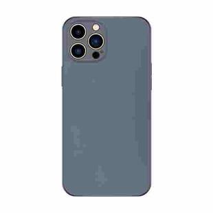 For iPhone 14 Pro Electroplating AG Frosted Phone Case(Grey)