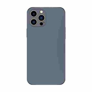 For iPhone 13 Pro Electroplating AG Frosted Phone Case(Grey)
