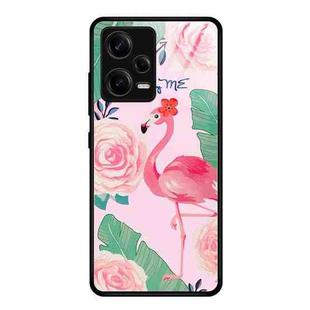 For Xiaomi Redmi Note 12 Pro 5G China Colorful Painted Glass Phone Case(Flamingo)