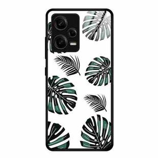 For Xiaomi Redmi Note 12 Pro 5G China Colorful Painted Glass Phone Case(Banana Leaves)