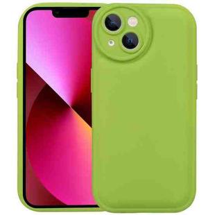 For iPhone 13 Liquid Airbag Decompression Phone Case(Grass Green)