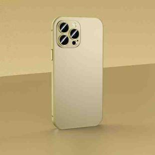 For iPhone 14 Pro Skin Feel Frosted Metal Phone Case(Champagne Gold)