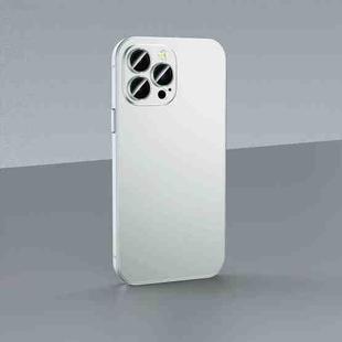 For iPhone 14 Pro Max Skin Feel Frosted Metal Phone Case(Silver)