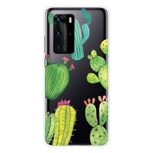 For Huawei P40 Shockproof Painted Transparent TPU Protective Case(Cactus)