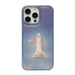 For iPhone 14 Translucent Frosted IMD TPU Phone Case(Handstand Cat)