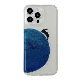 For iPhone 14 Translucent Frosted IMD TPU Phone Case(Moon Rabbit)