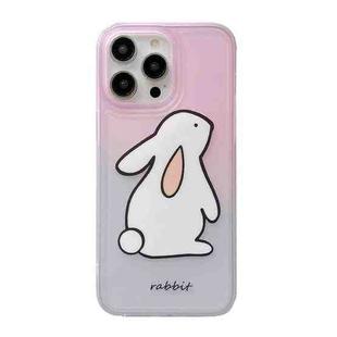 For iPhone 14 Pro Max Translucent Frosted IMD TPU Phone Case(Gradient Rabbit)