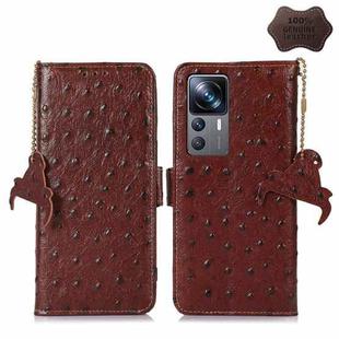 For Xiaomi 12T / 12T Pro / Redmi K50 Ultra Ostrich Pattern Genuine Leather RFID Phone Case(Coffee)