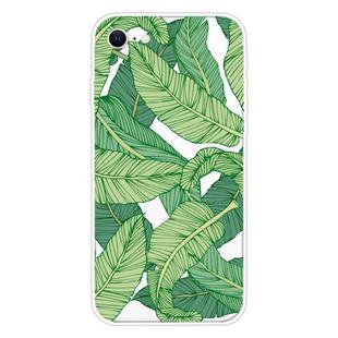 For iPhone SE 2022 / SE 2020 Shockproof Painted Transparent TPU Protective Case(Banana Leaf)