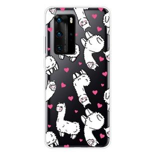 For Huawei P40 Pro Shockproof Painted Transparent TPU Protective Case(Alpaca)