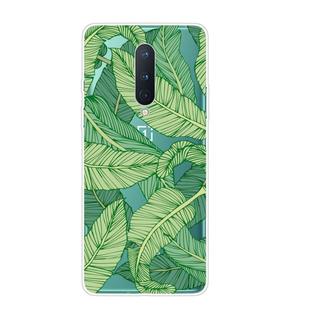 For OnePlus 8 Shockproof Painted Transparent TPU Protective Case(Banana Leaf)