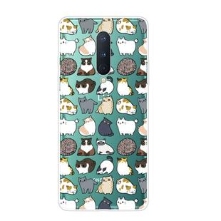 For OnePlus 8 Shockproof Painted Transparent TPU Protective Case(MIni Cats)