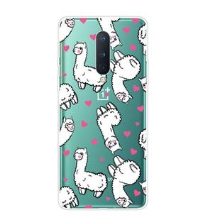 For OnePlus 8 Shockproof Painted Transparent TPU Protective Case(Alpaca)